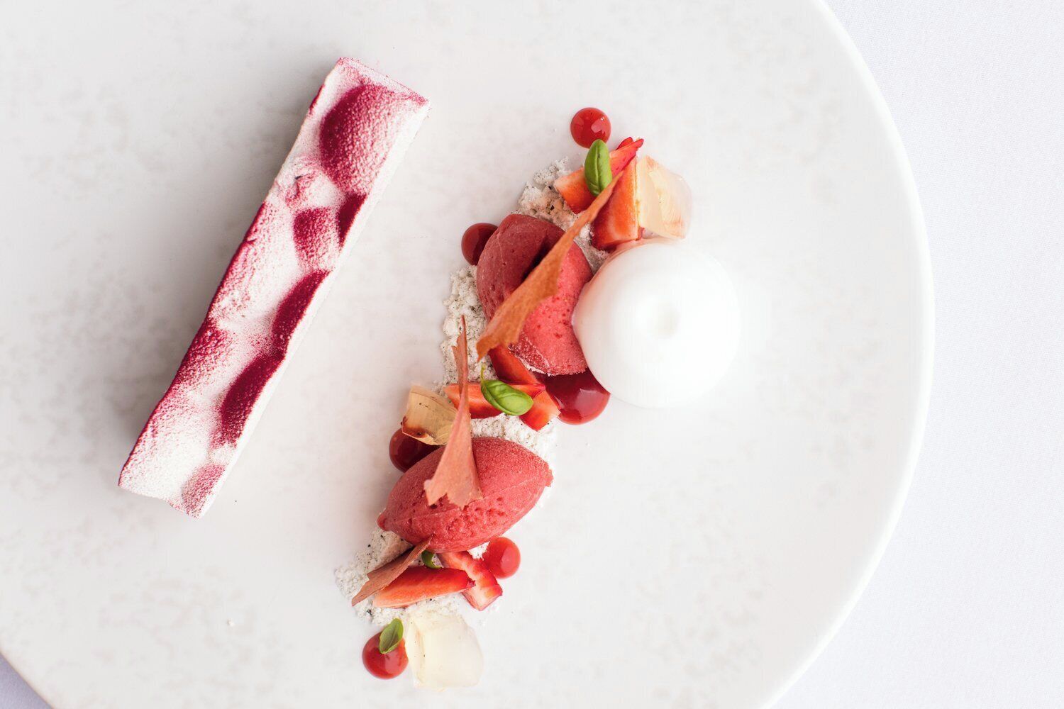 A dessert plate with a white plate and a dessert featuring red and white elements, garnished with small fruits and leaves.