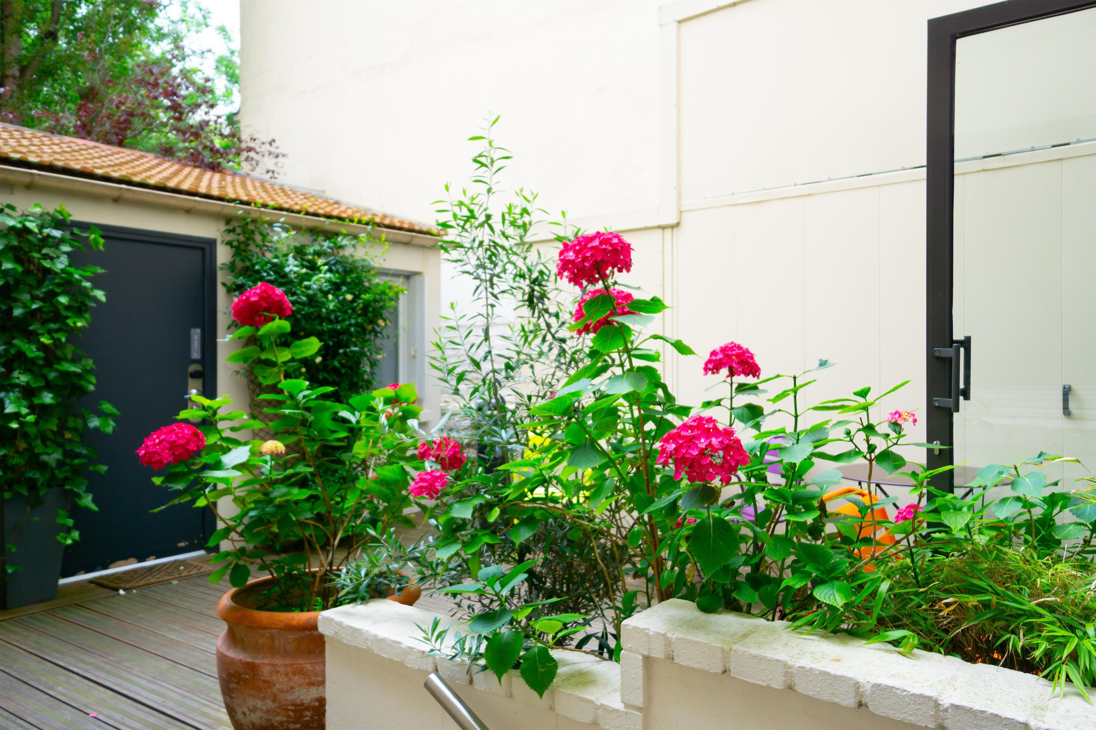 Un jardin agrémenté de plantes et de fleurs en pot, une terrasse en bois et un mur blanc avec une porte.
