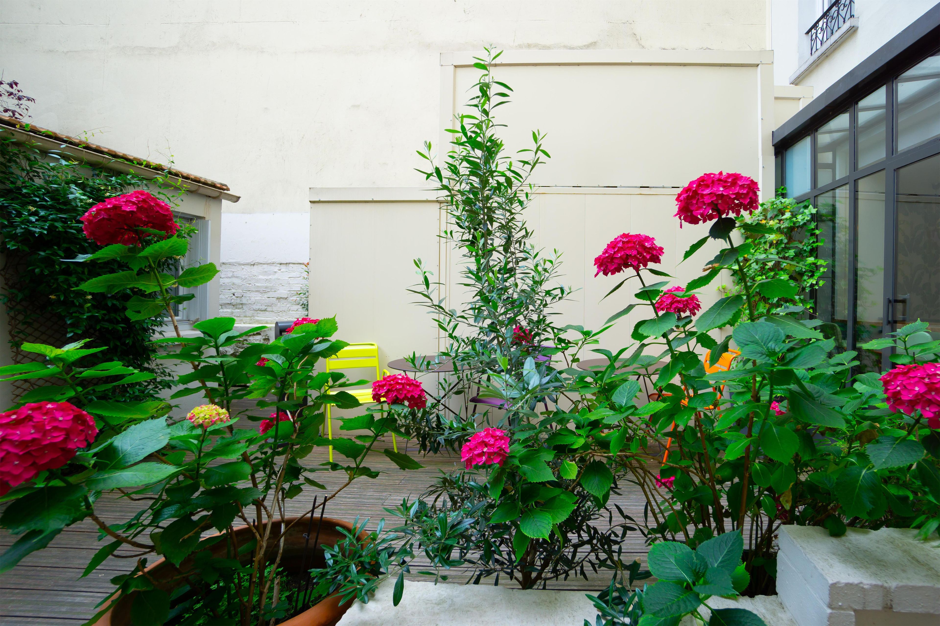 Une cour avec des plantes et des fleurs en pot, une chaise jaune et un bâtiment doté d’un mur blanc et de fenêtres.