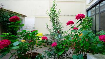 Une cour avec des plantes et des fleurs en pot, une chaise jaune et un bâtiment doté d’un mur blanc et de fenêtres.