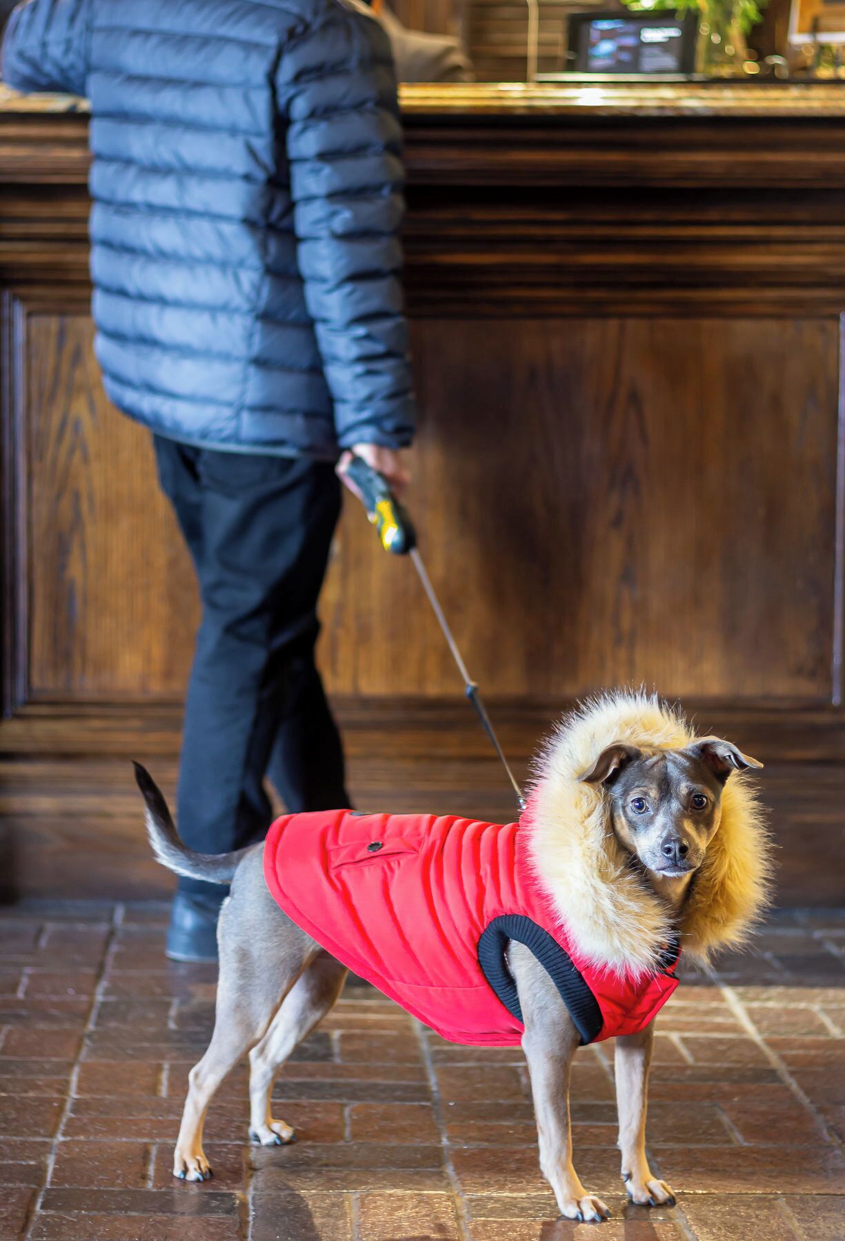 Foto - Old Stone Inn Boutique Hotel