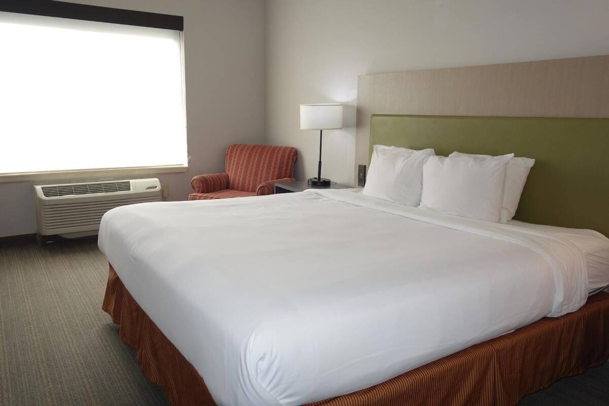 Ropa de cama de alta calidad, escritorio y cortinas blackout