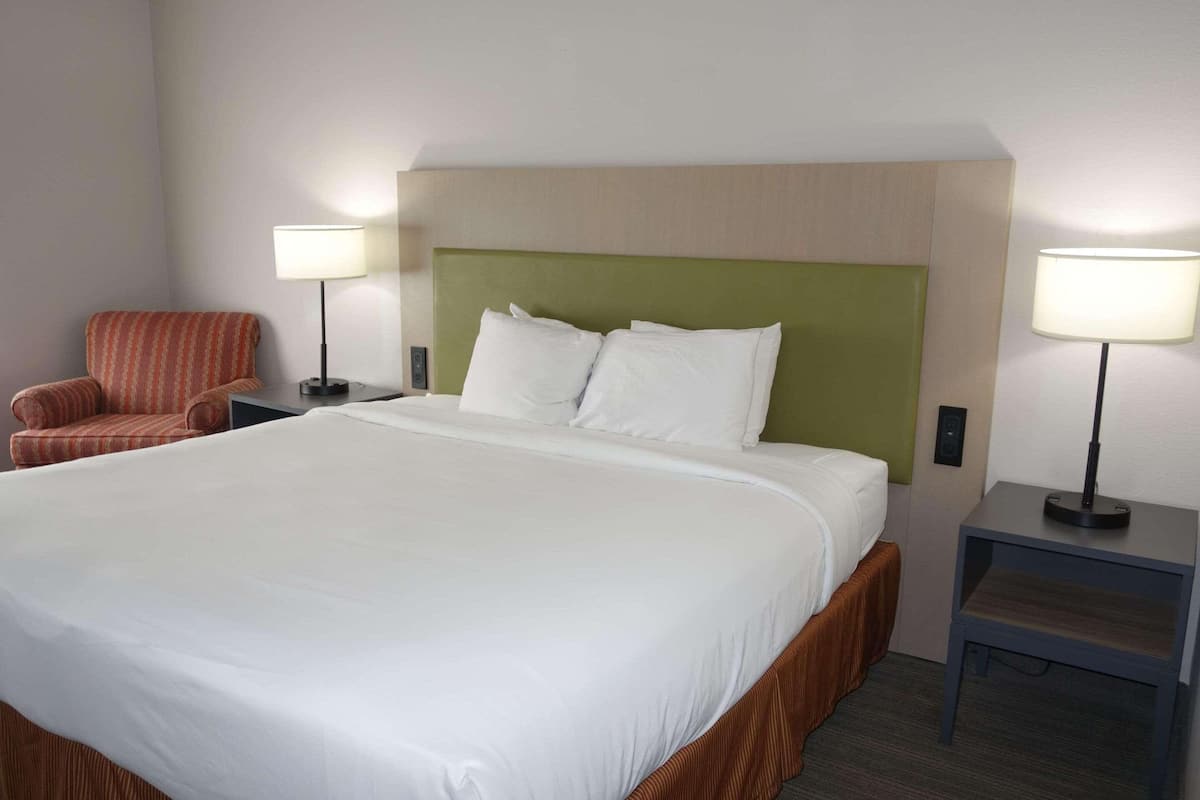 Suite, 1 chambre, accessible aux personnes à mobilité réduite, non-fumeur | Literie de qualité, bureau, rideaux d’obscurcissement
