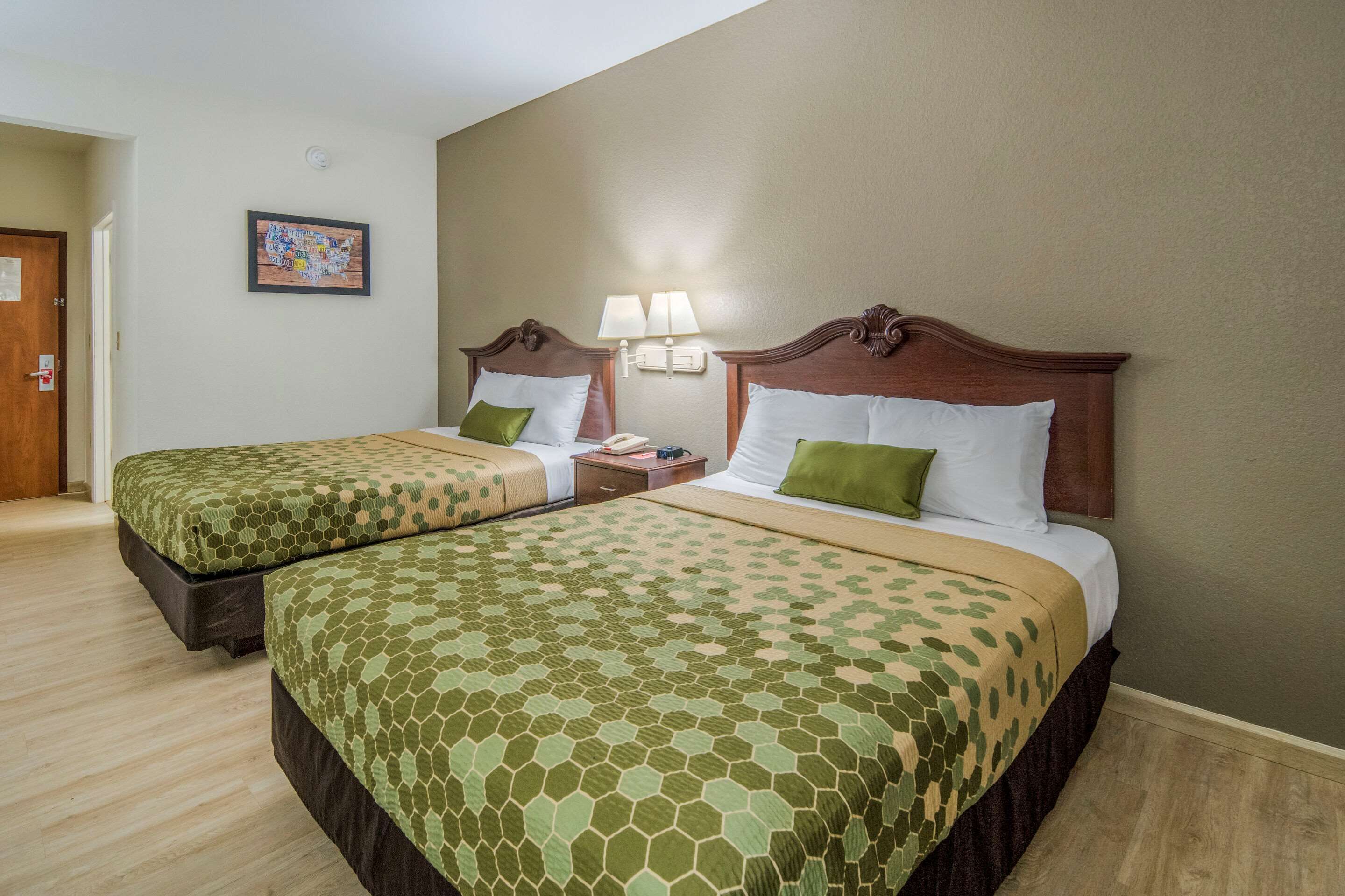 A hotel room with two beds, each with a patterned bedspread, a nightstand with a lamp, and a framed picture on the wall.