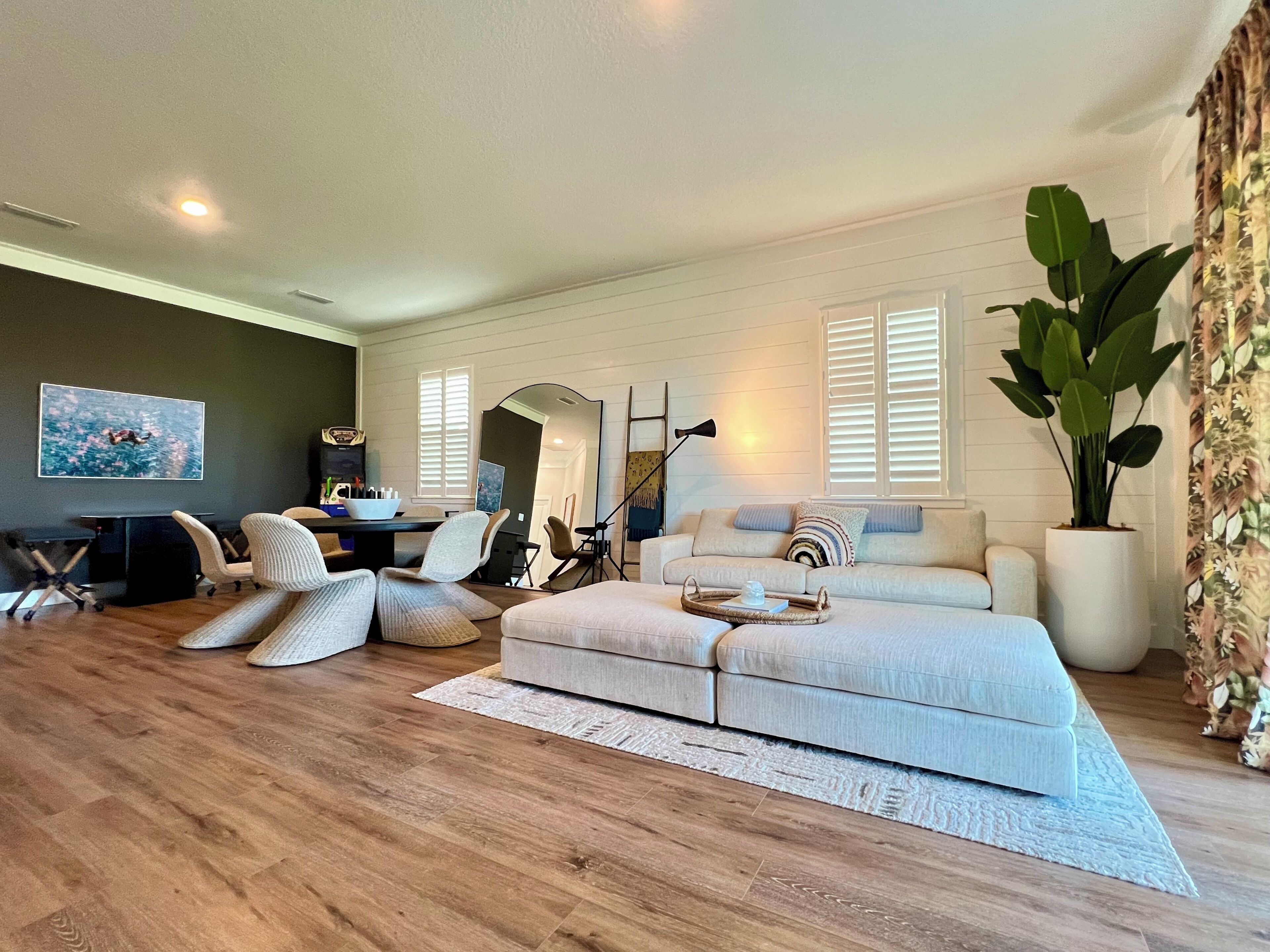 A modern living room with a sofa, chairs, a dining table, and a large plant.