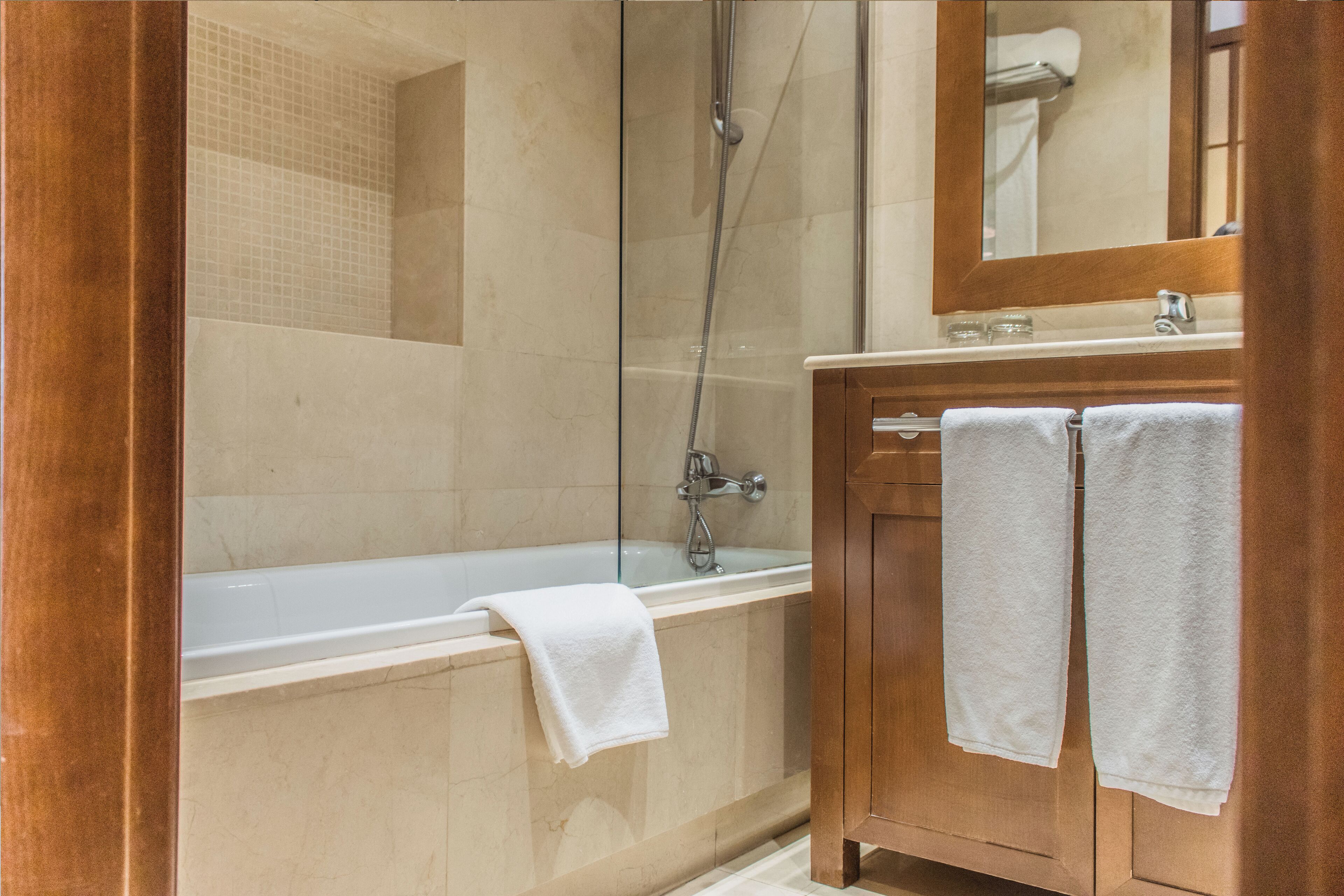 combined shower/bathtub, free toiletries, hair dryer, bidet