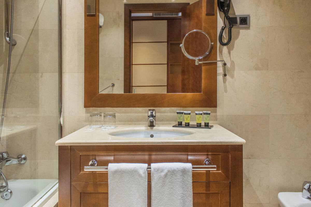 combined shower/bathtub, free toiletries, hair dryer, bidet