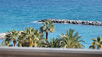 Beach/ocean view
