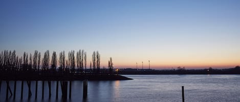 A waterfront view with a row of trees and a dock extending into the water.