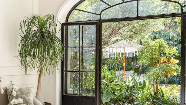 Ein Wintergarten mit Glastür, einem Blumentopf und Blick auf einen Garten.