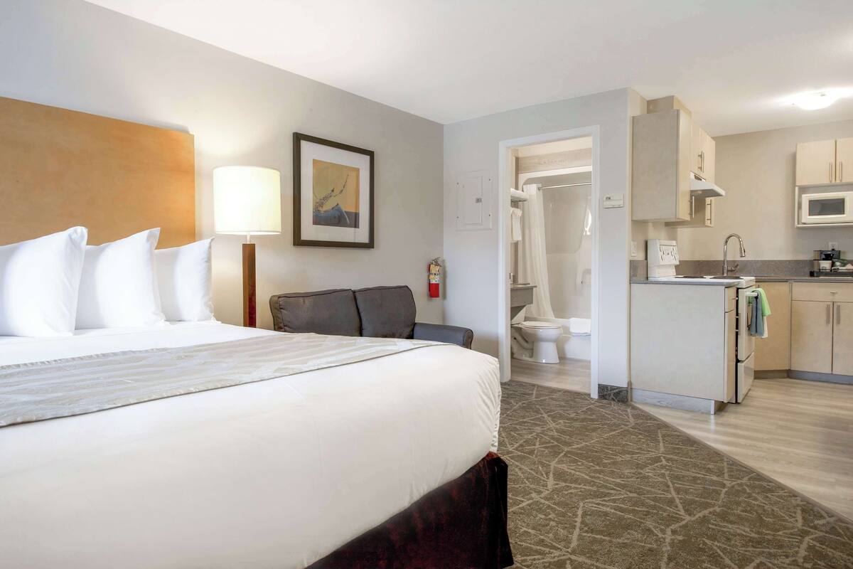 Habitación de hotel con una cama grande, una lámpara de noche, un cuadro enmarcado, un baño con ducha y una kitchenette con microondas.