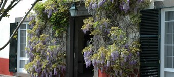 Quinta da Bela Vista - Madeira