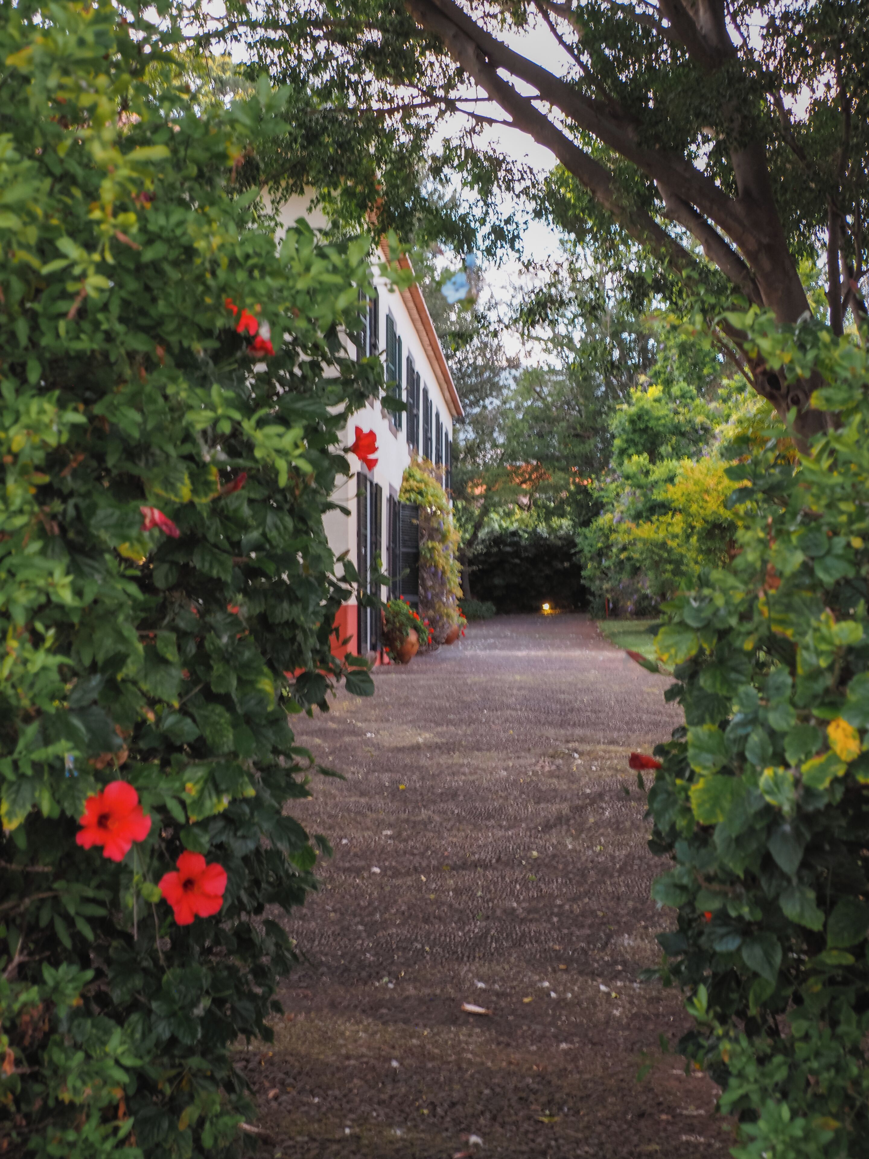 Un chemin de gravier mène à un bâtiment à la façade blanche et aux volets verts.