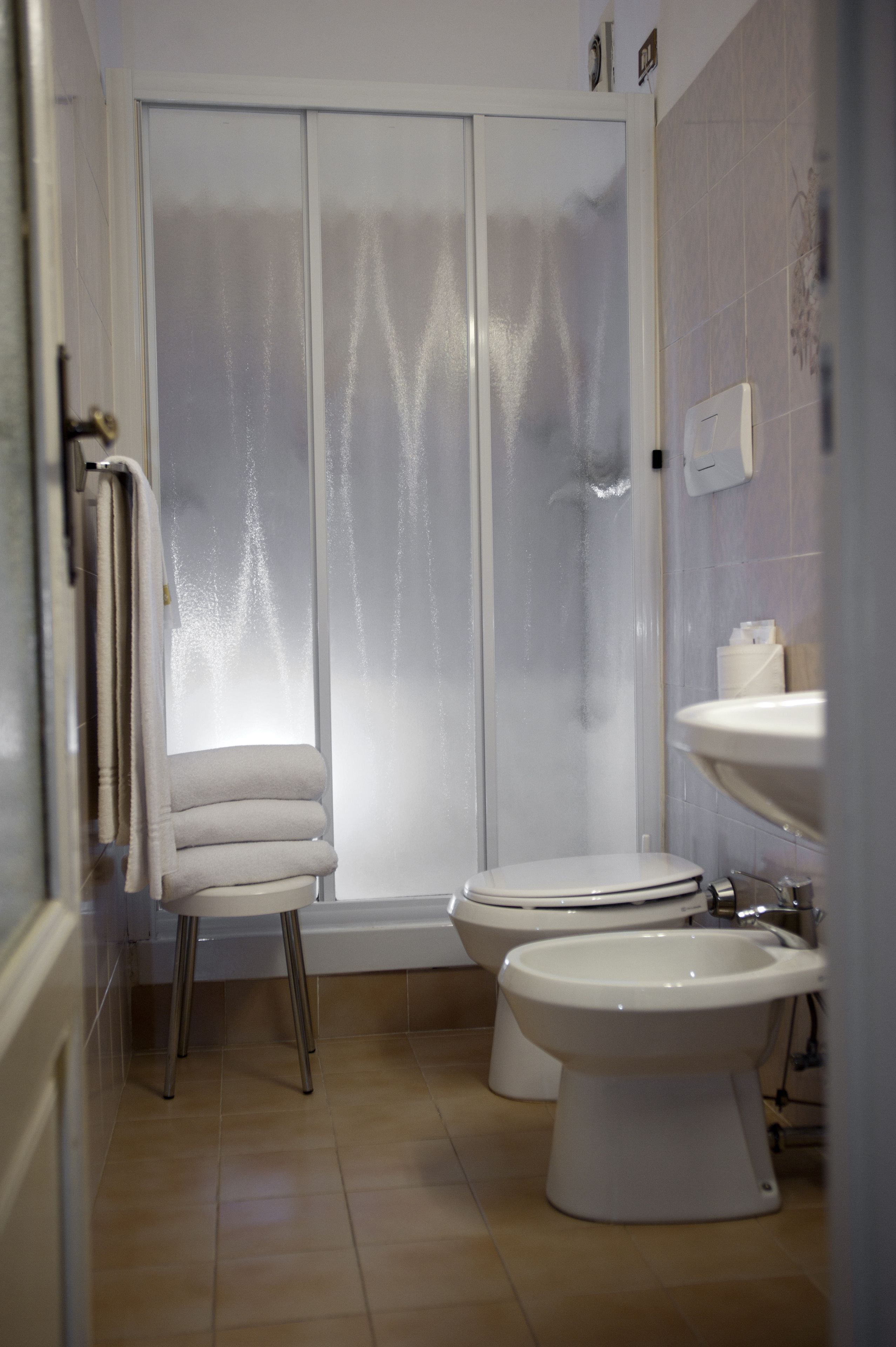 shower, free toiletries, hair dryer, bidet