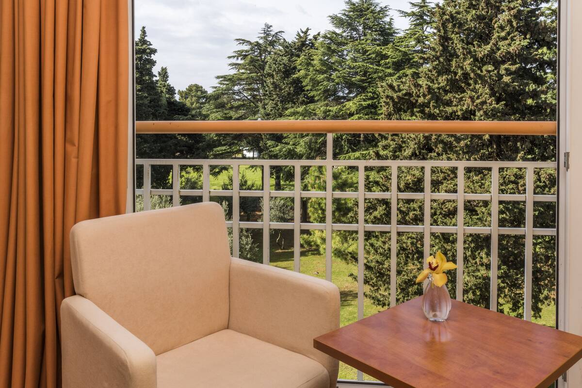 economy room (french bed park side) | 1 bedroom, in-room safe, desk, blackout curtains