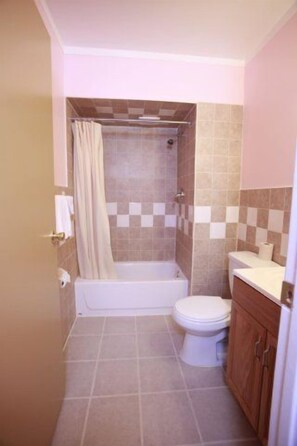 Combined shower/bathtub, free toiletries, hair dryer, towels