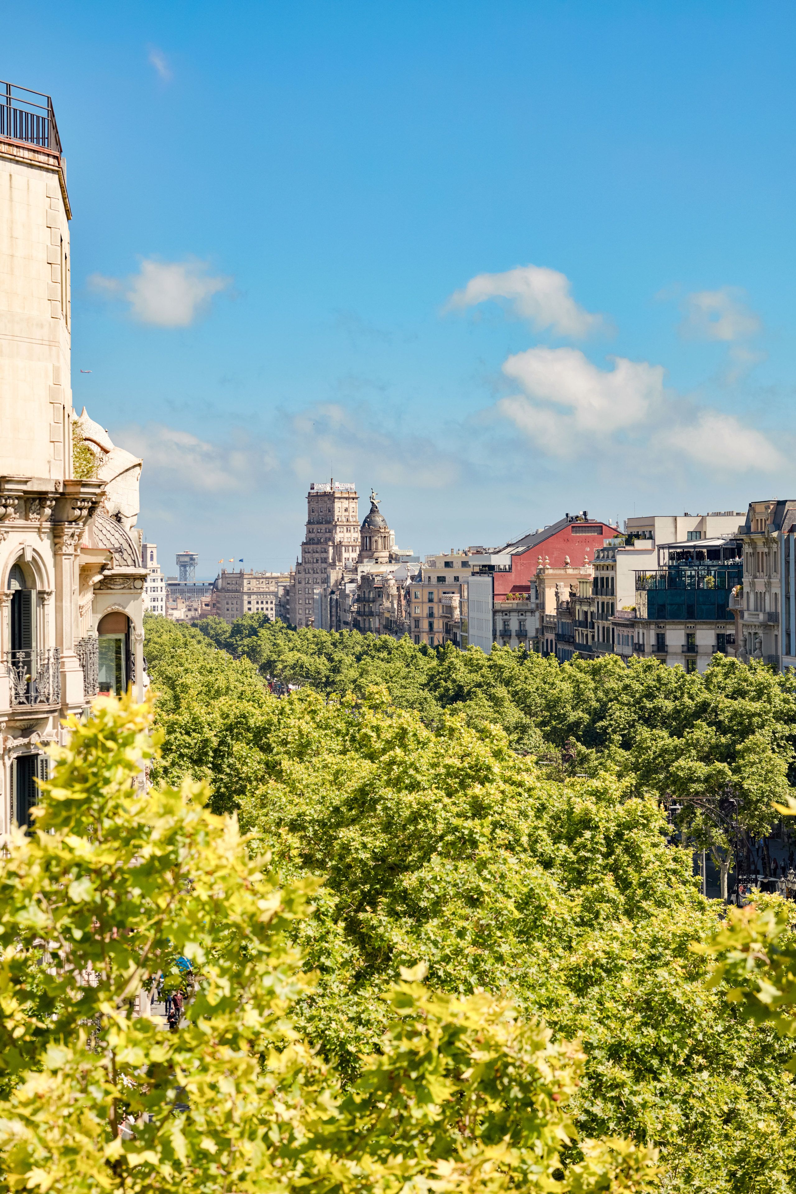 city view from property