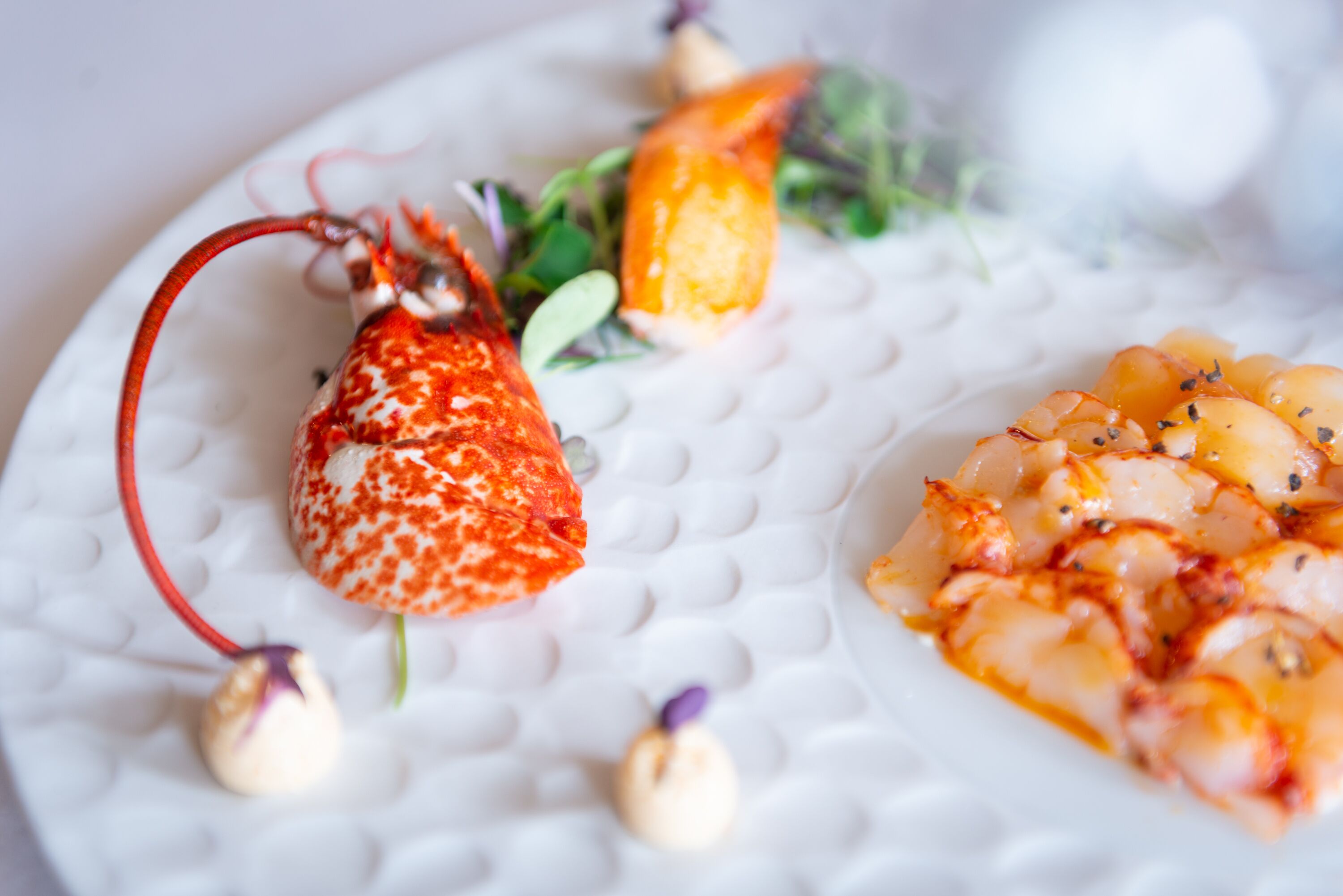 A white textured plate with a lobster tail, a piece of orange vegetable, and a seafood dish.