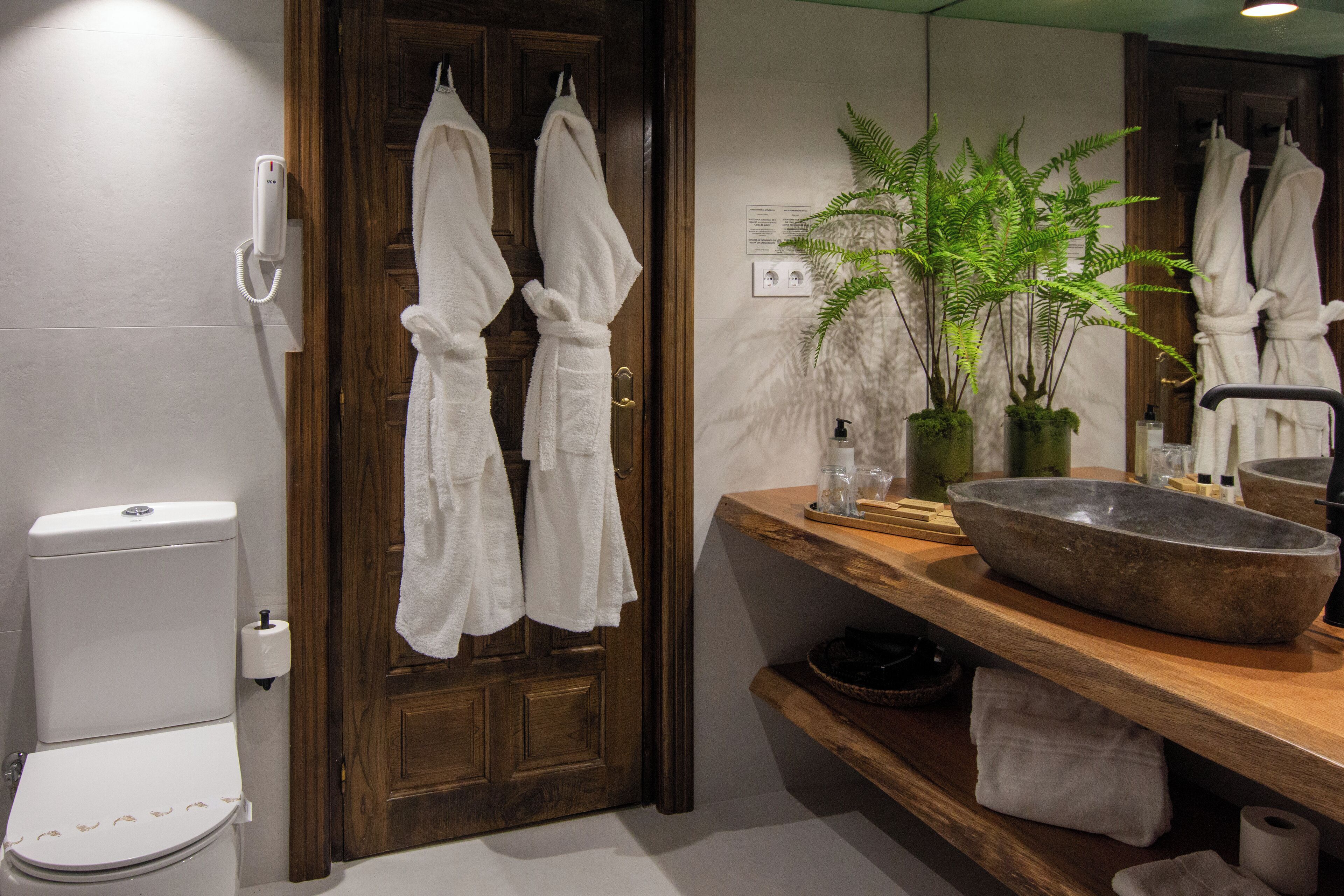 A bathroom with a wooden door, two white towels hanging, a white toilet, a sink with a stone basin, and a potted fern.
