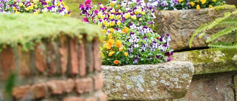 Un jardín con jardineras de piedra que contienen una variedad de flores.