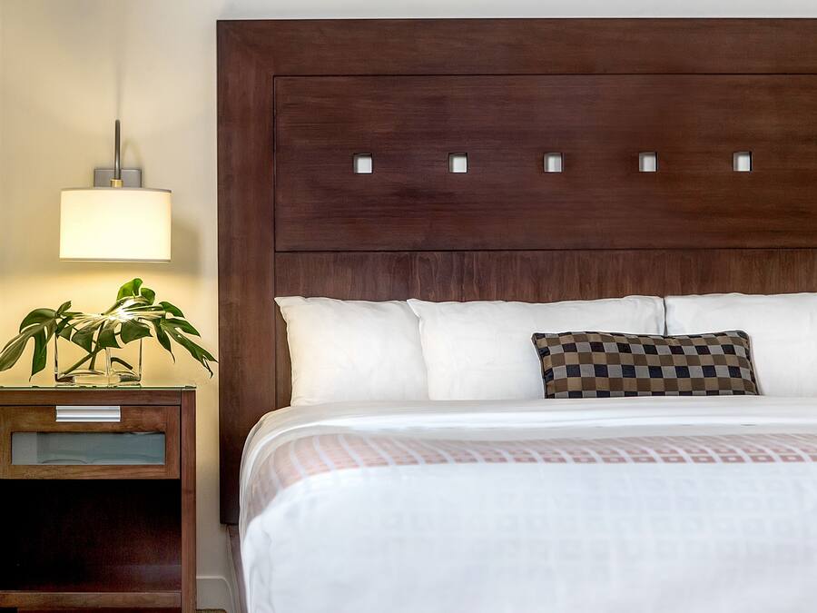 A neatly made bed with white linens and a patterned pillow, a bedside lamp, and a small plant on a wooden nightstand.