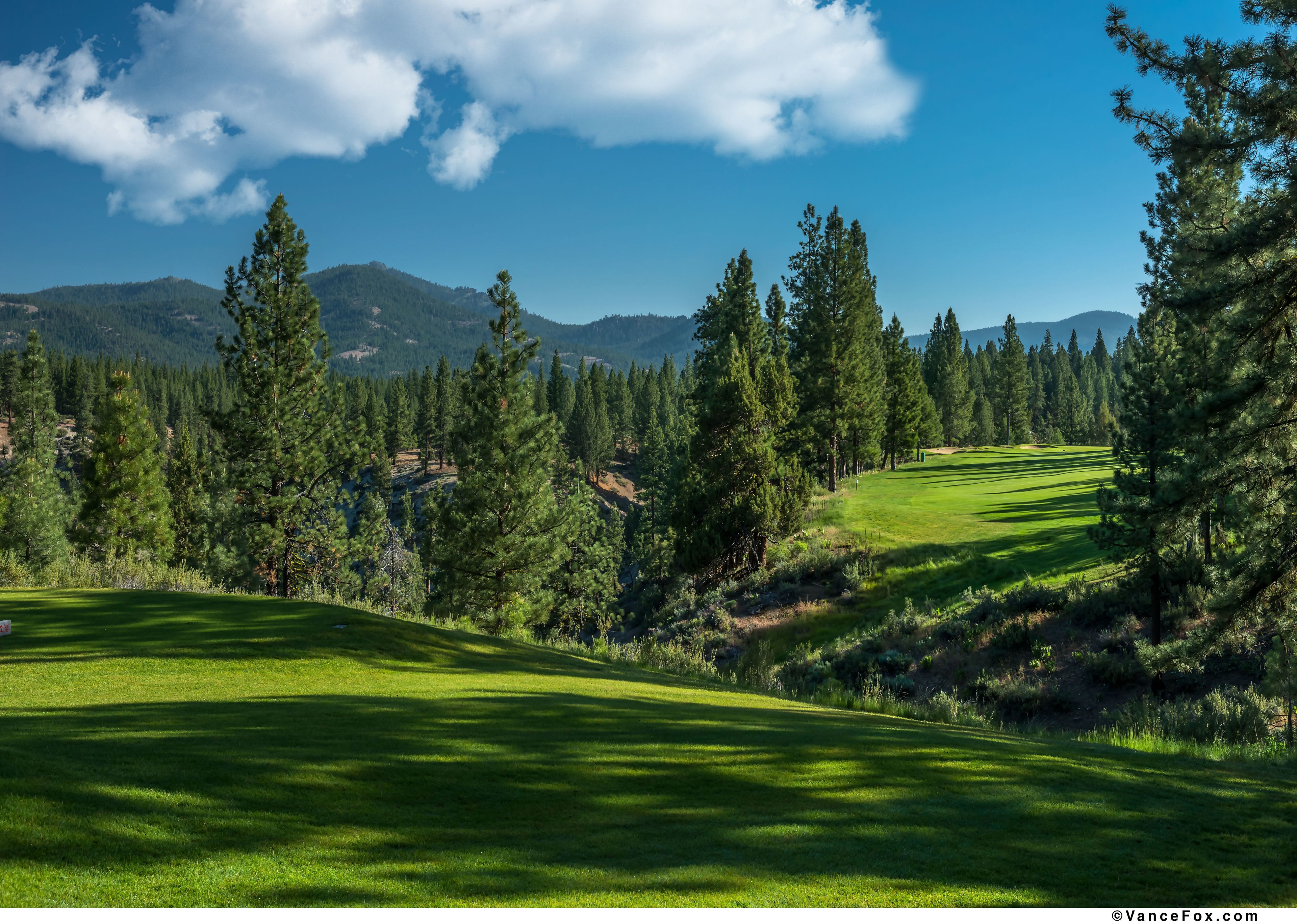 Un campo de golf con vistas despejadas del bosque y las montañas circundantes.