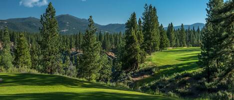 A golf course with a clear view of the surrounding forest and mountains.