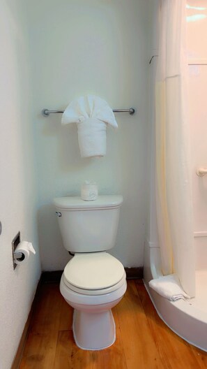Combined shower/tub, hair dryer, towels