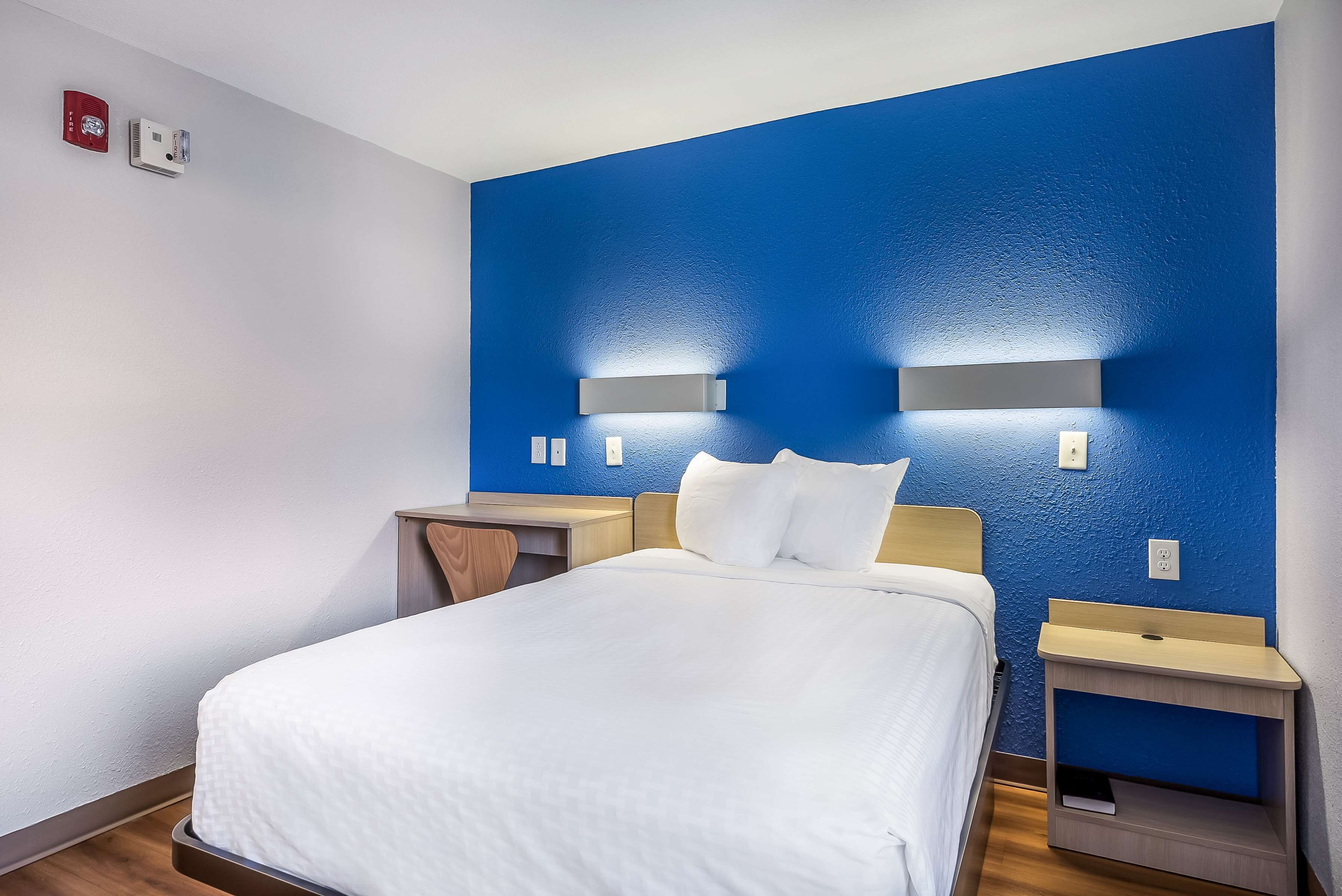 A hotel room with a bed, bedside tables, a desk, and a blue accent wall.