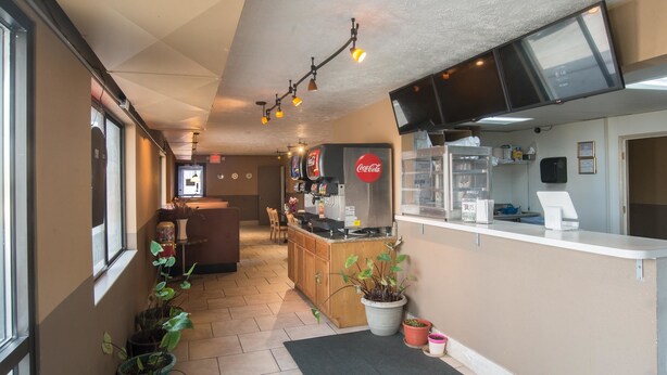 Een keuken met een koelkast, een magnetron en een koffieapparaat. Er staan potplanten en is een raam aan de linkerkant.