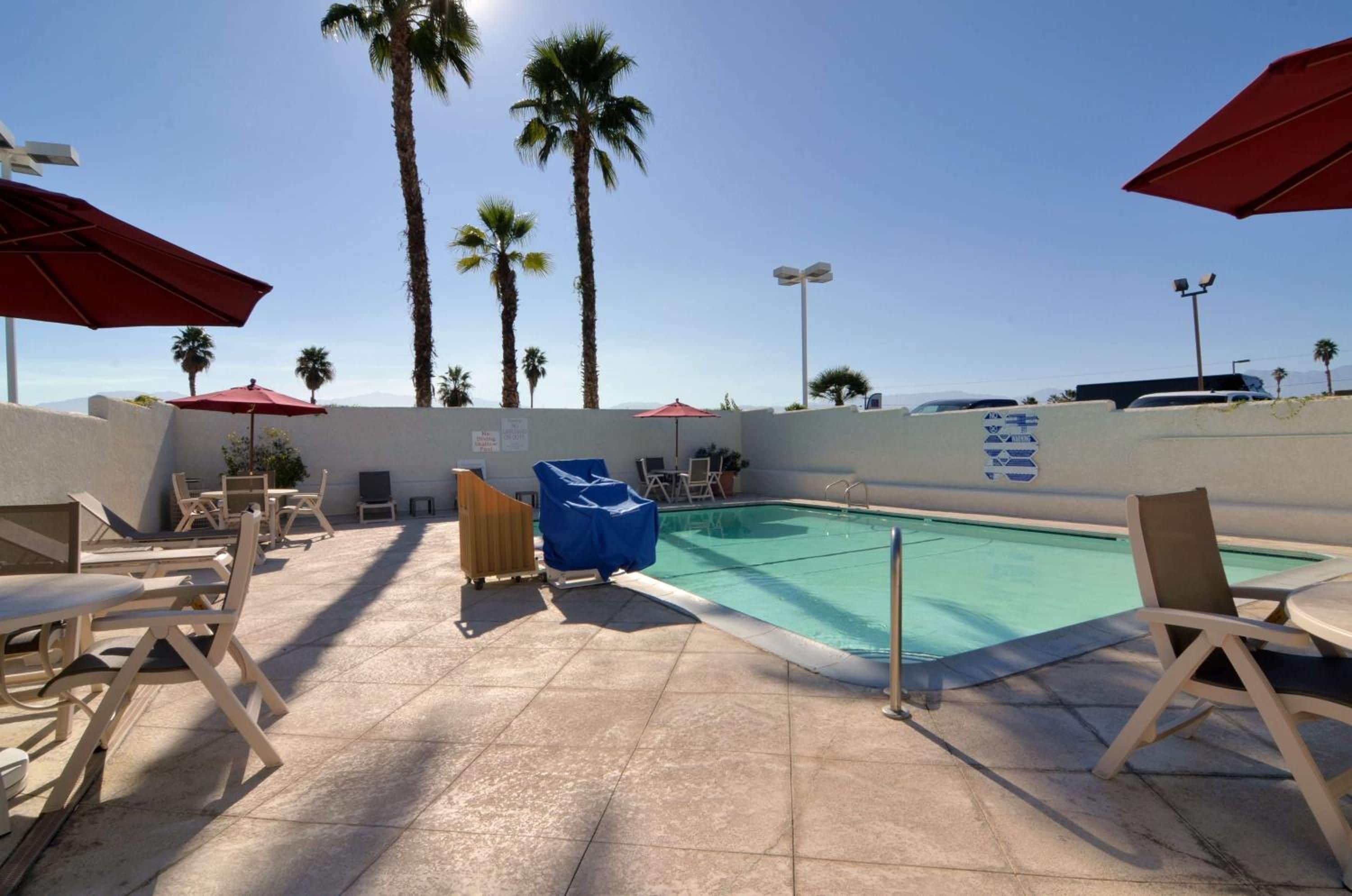 An outdoor swimming pool area with lounge chairs and umbrellas, surrounded by palm trees.