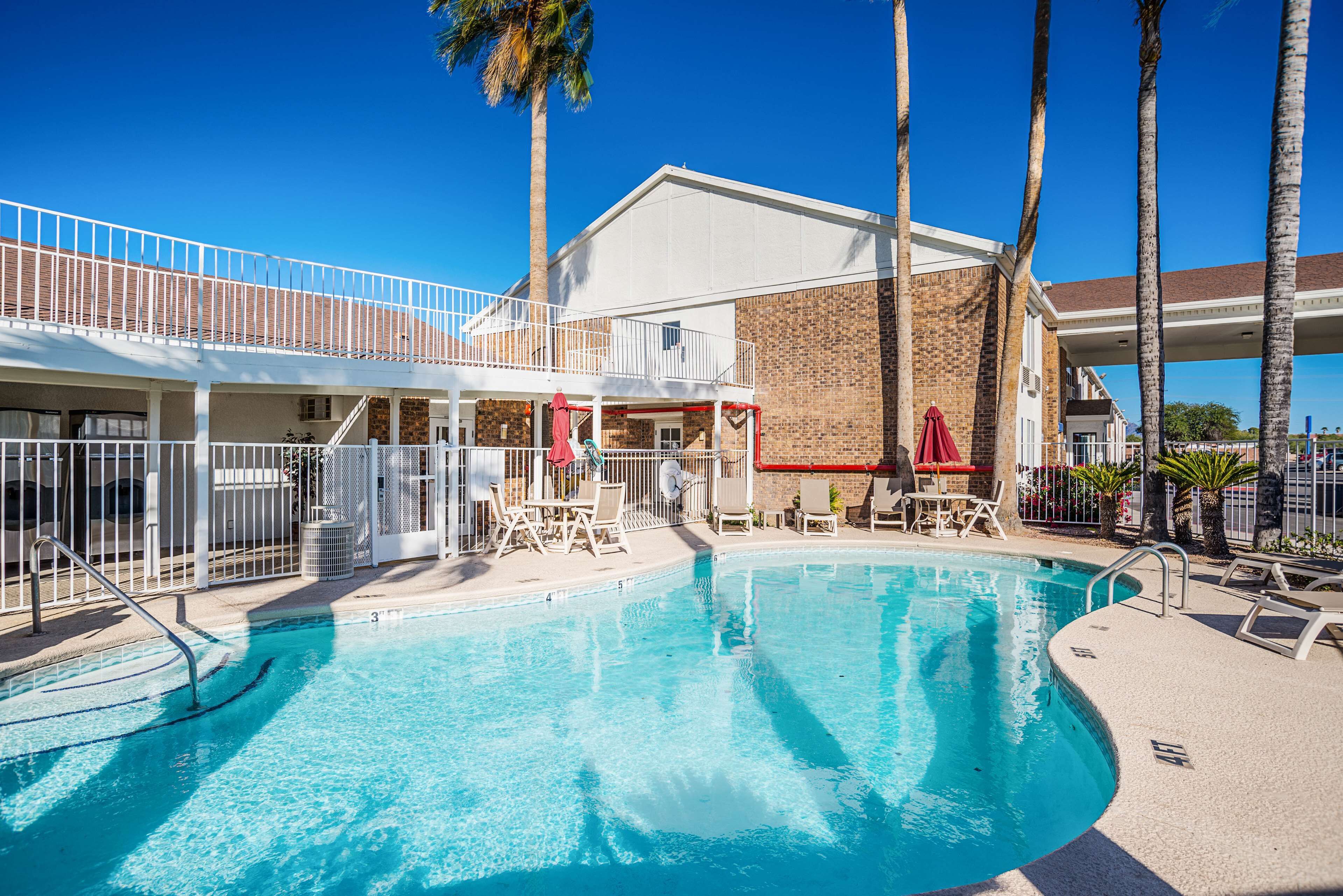 A swimming pool with lounge chairs and umbrellas, surrounded by a fenced area and palm trees.