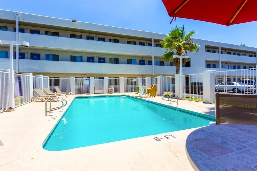 A swimming pool with a sunshade, lounge chairs, and a palm tree.