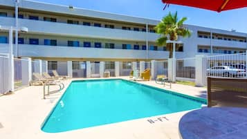 A swimming pool with a sunshade, lounge chairs, and a palm tree.
