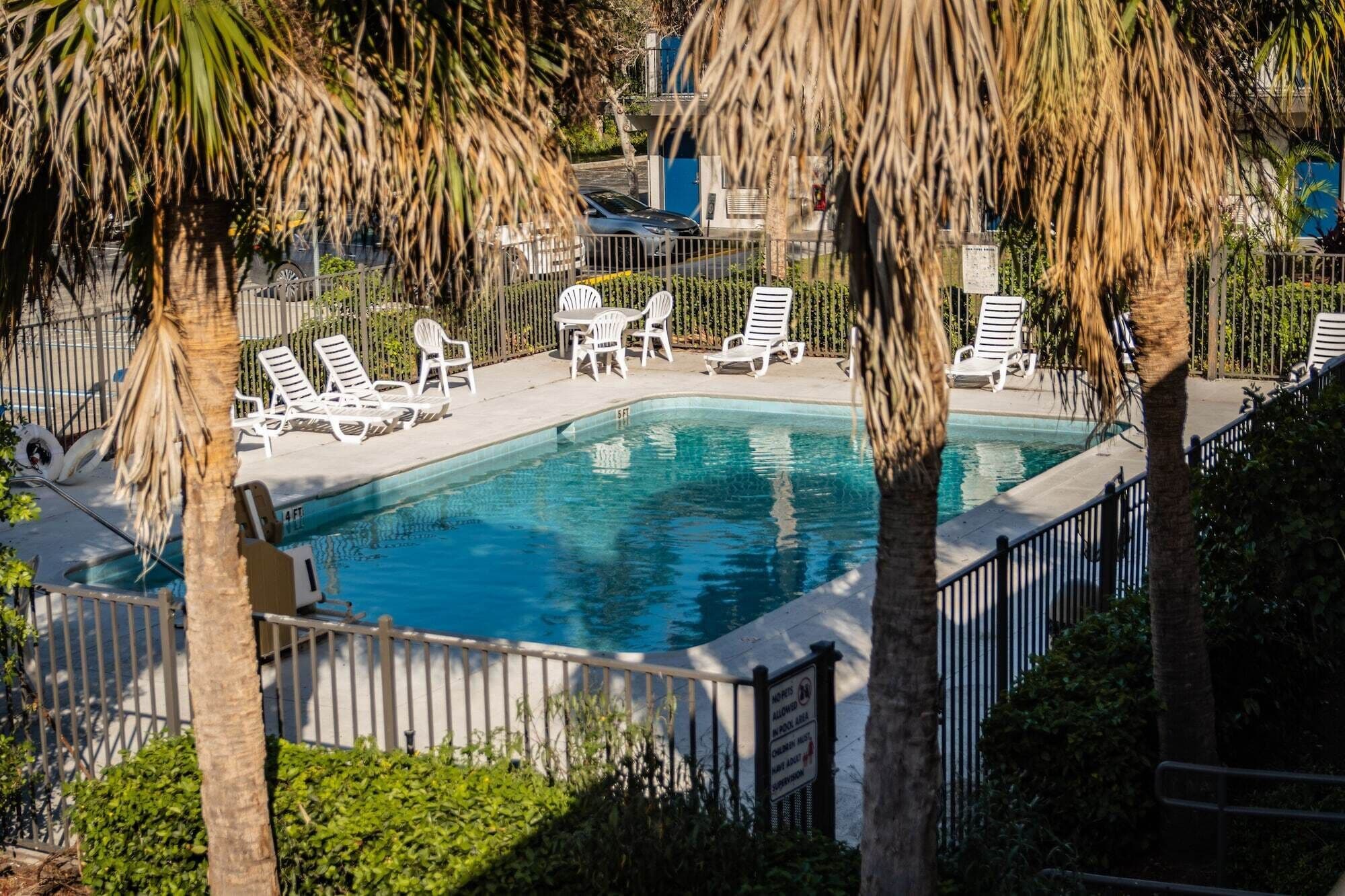 A swimming pool surrounded by white lounge chairs and palm trees.