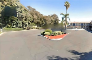 Guests can park their vehicles in this spacious area surrounded by lush greenery and a palm tree.
