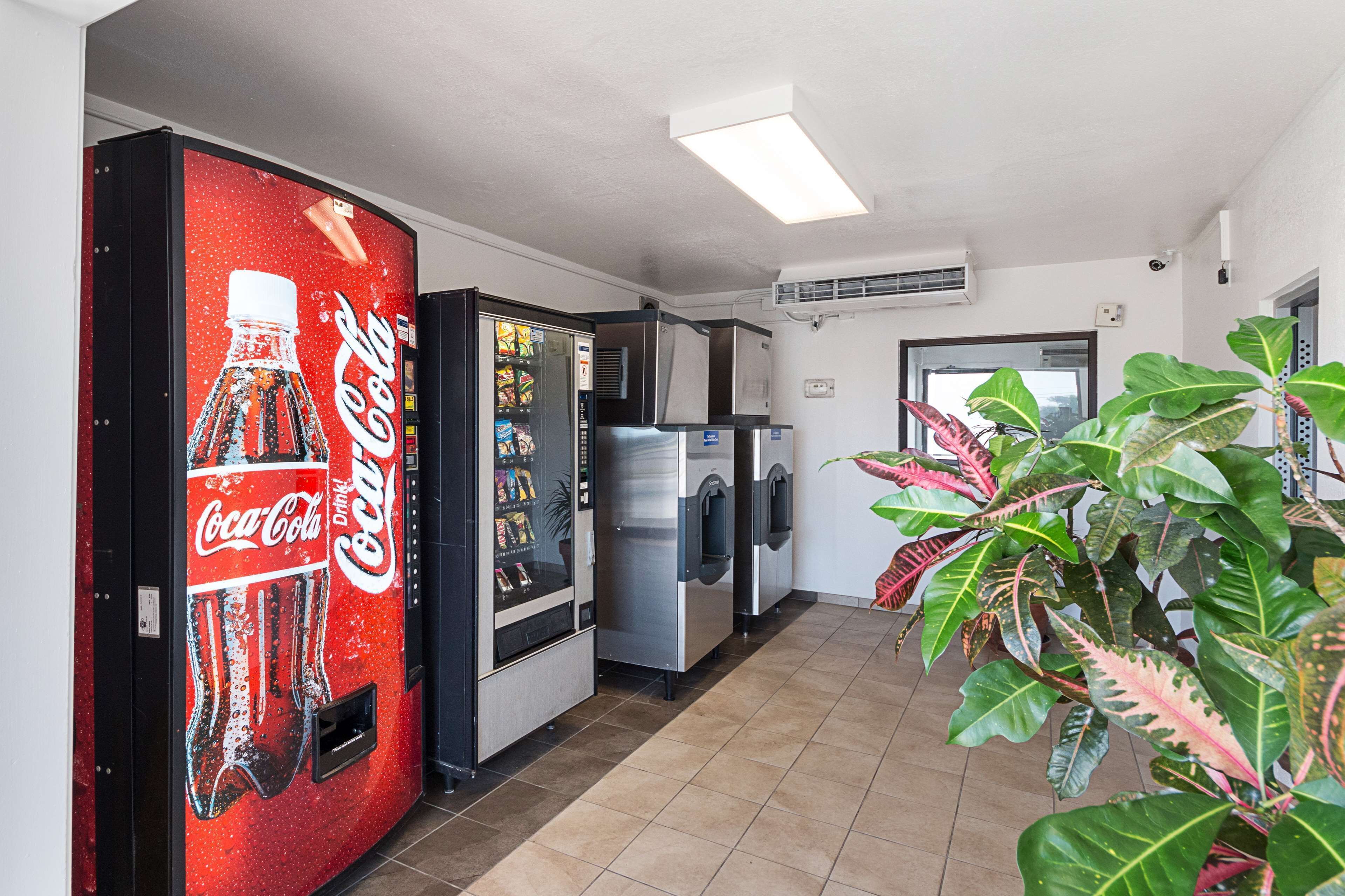 Foto - Motel 6-Mcallen, TX