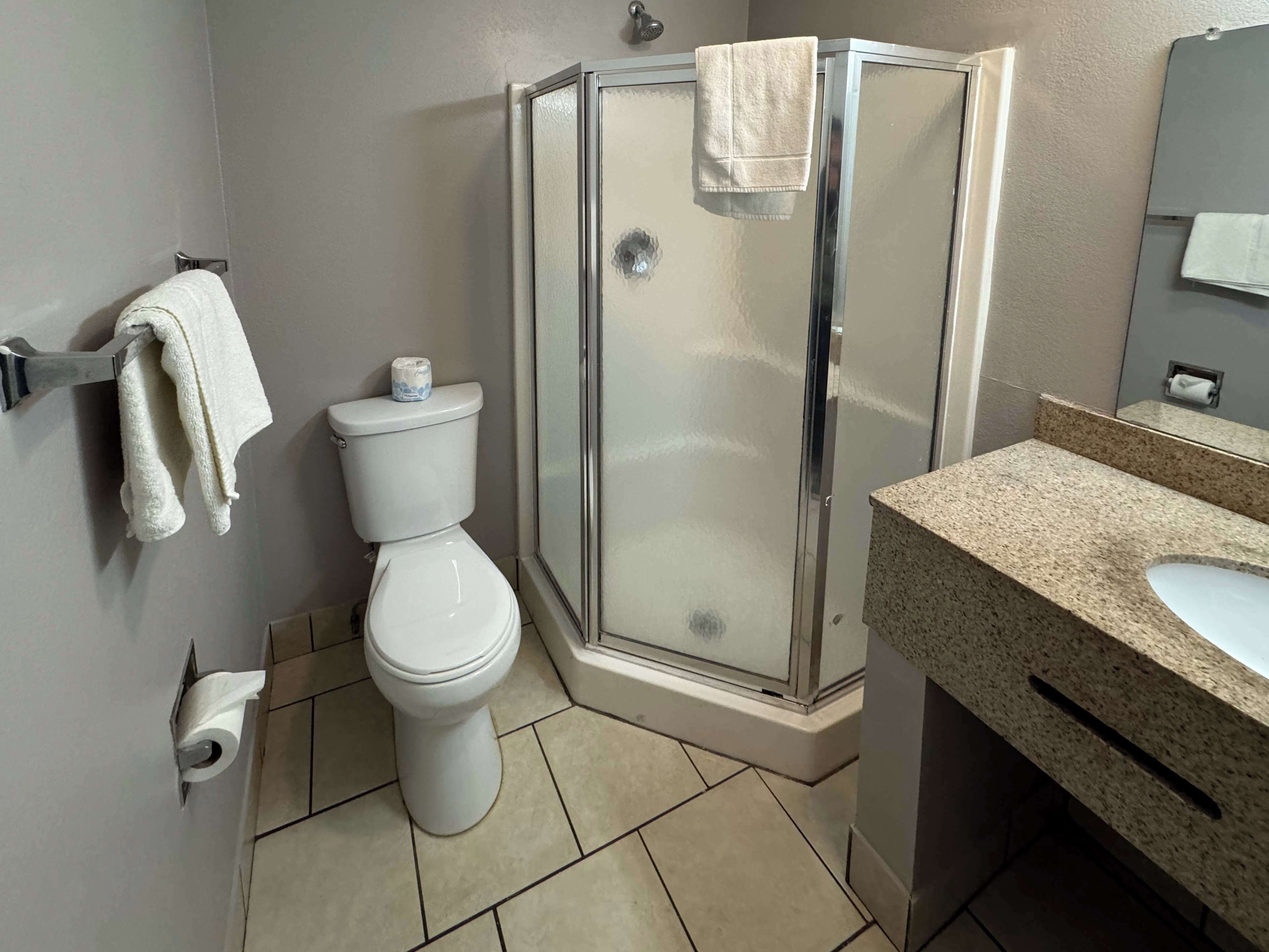 A bathroom with a toilet, a glass shower enclosure, a sink with a granite countertop, and a towel rack with towels.