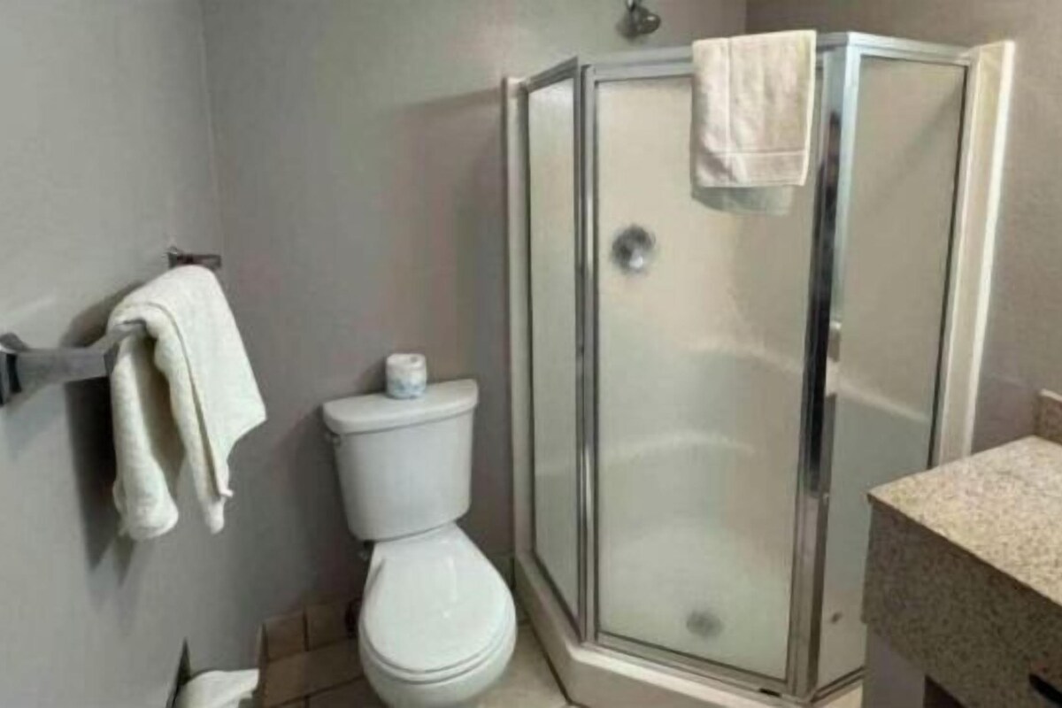 A bathroom with a glass-enclosed shower, a toilet, and a sink.