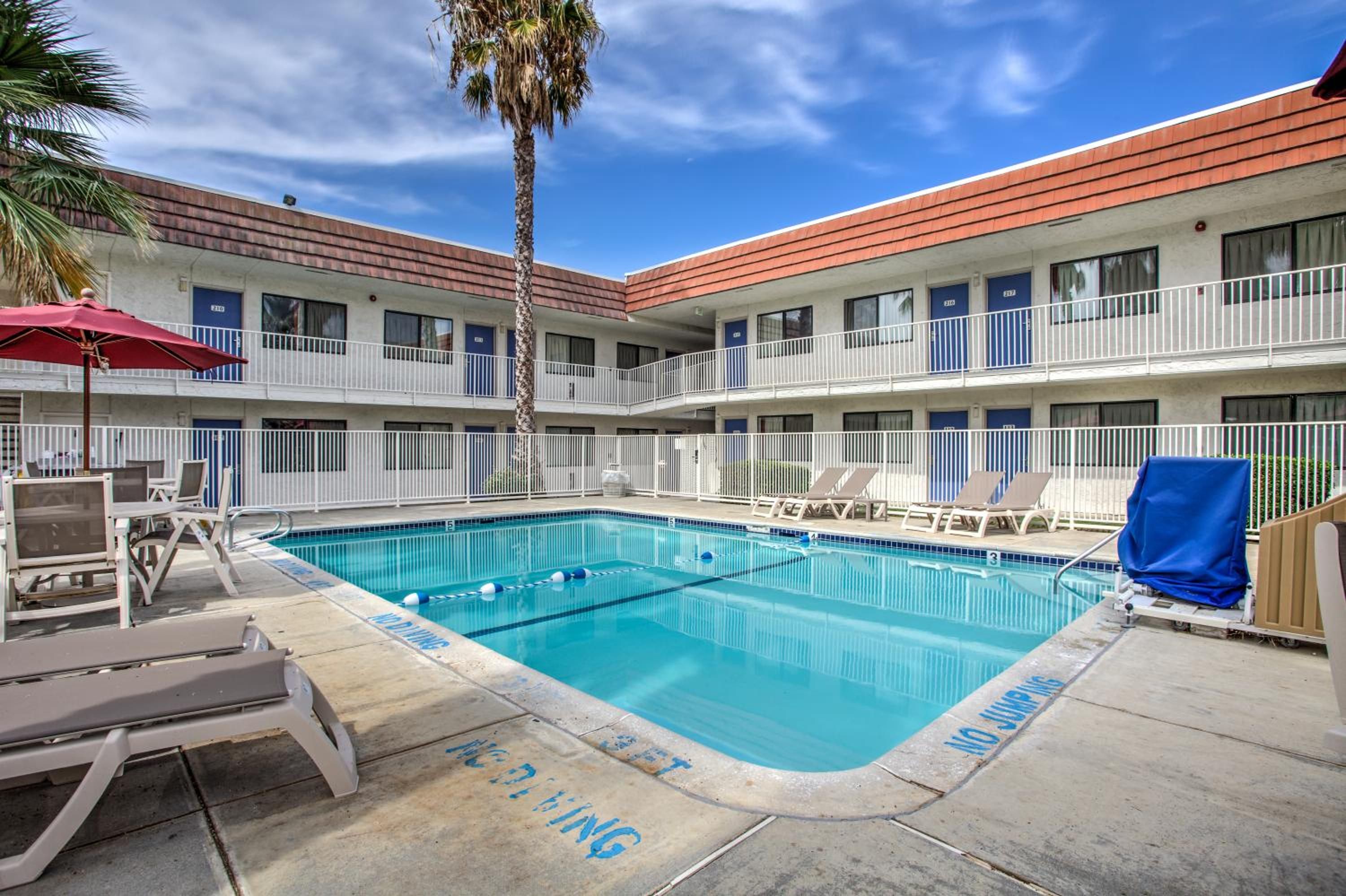 A hotel pool with a clear blue water, surrounded by lounge chairs and umbrellas, and a palm tree in the center.