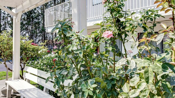 A white bench under a covered area with a white railing, surrounded by lush green foliage and pink flowers. - Motel 6 Grants Pass, OR (Grants Pass)