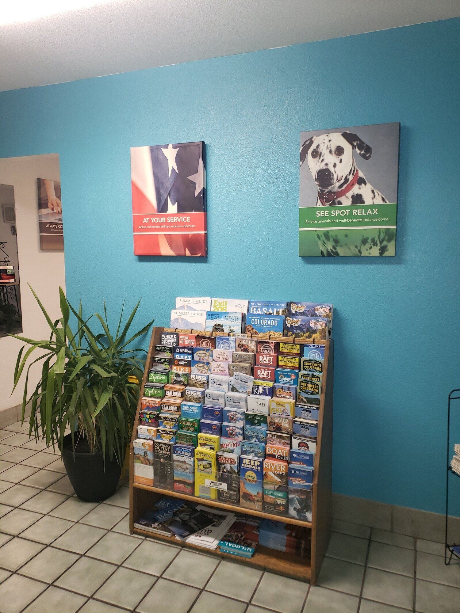 Un kiosque d’information touristique où sont exposés des guides de voyage et où se trouve une plante en pot.