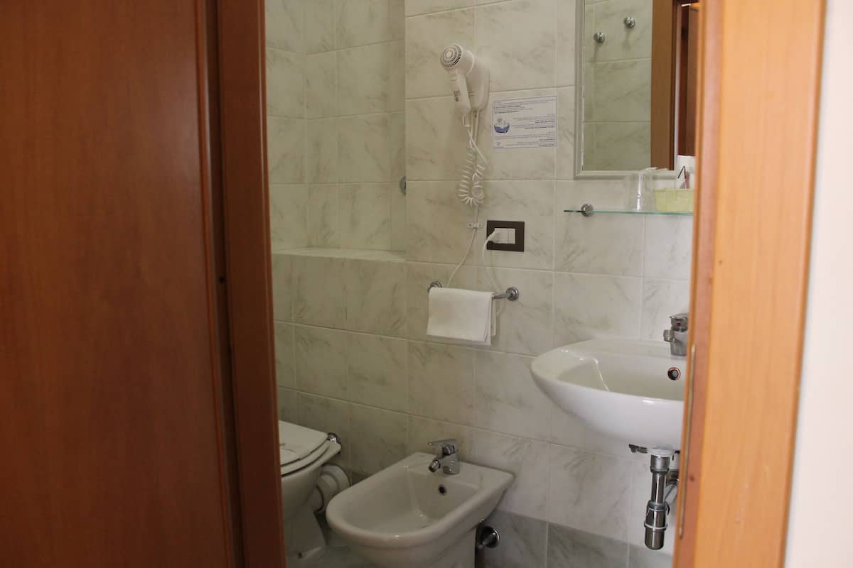combined shower/bathtub, free toiletries, hair dryer, bidet