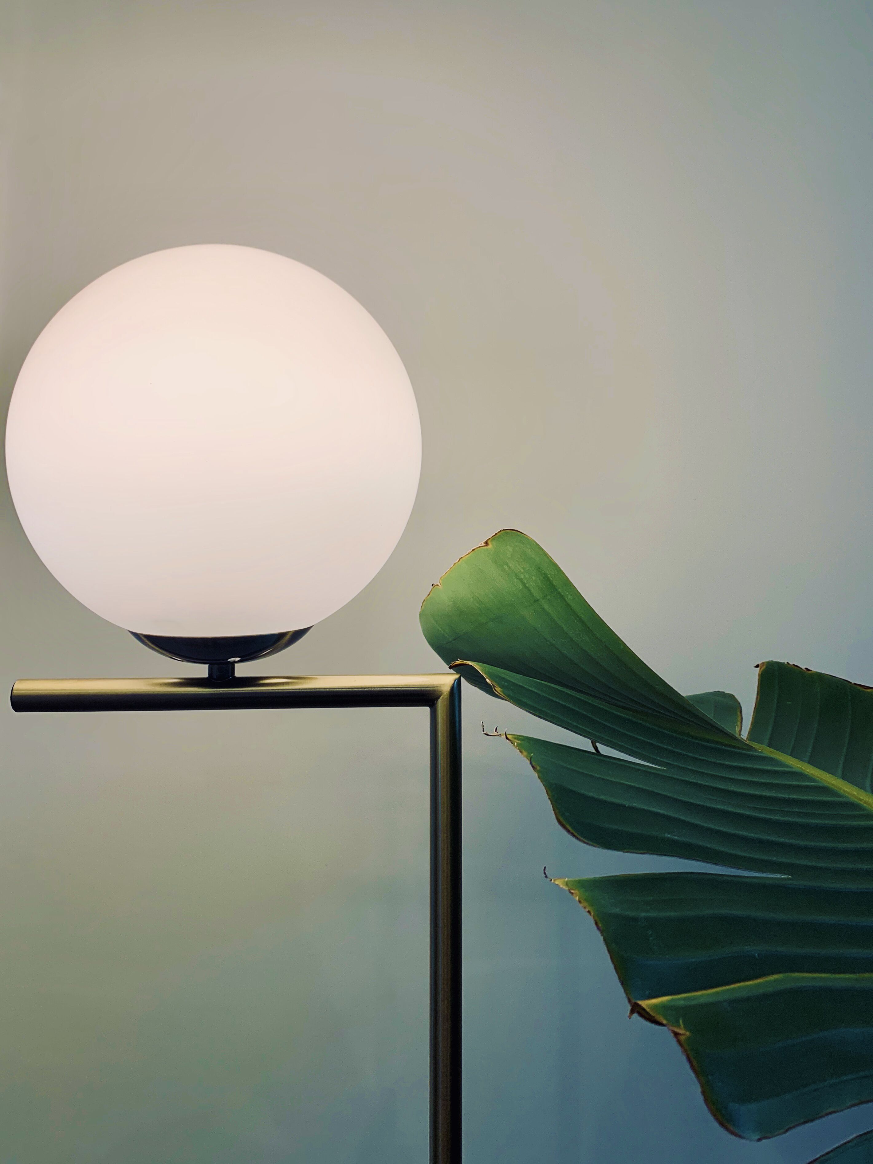 Foto - Hotel Franchi