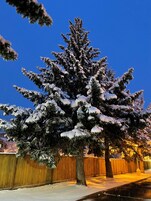 Aparcamiento sin asistencia gratuito