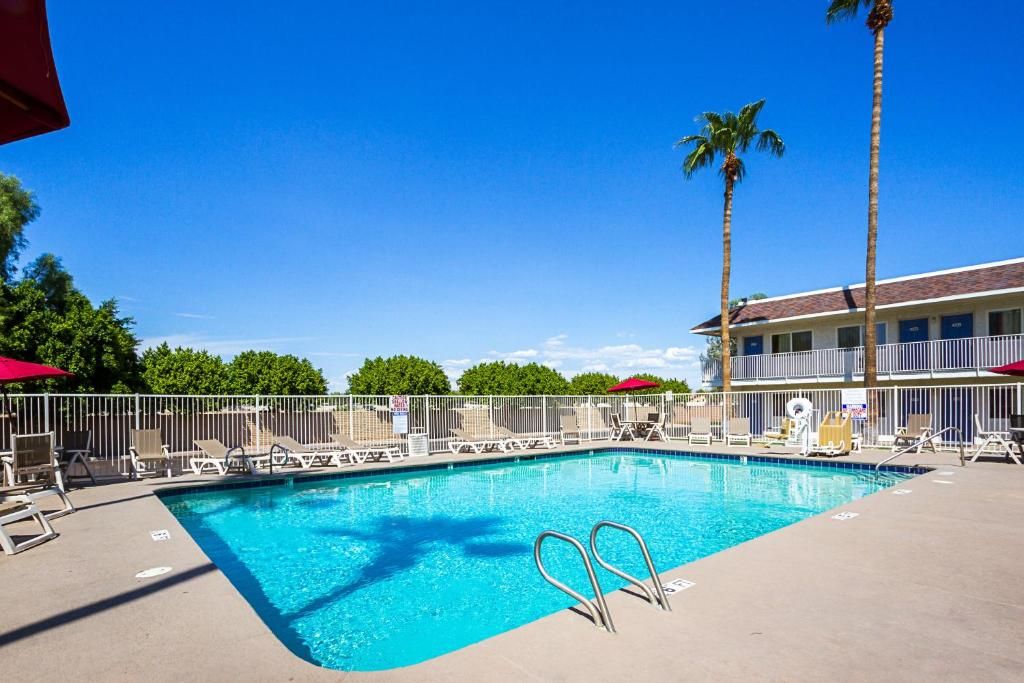 A swimming pool with lounge chairs and palm trees, surrounded by a fence.