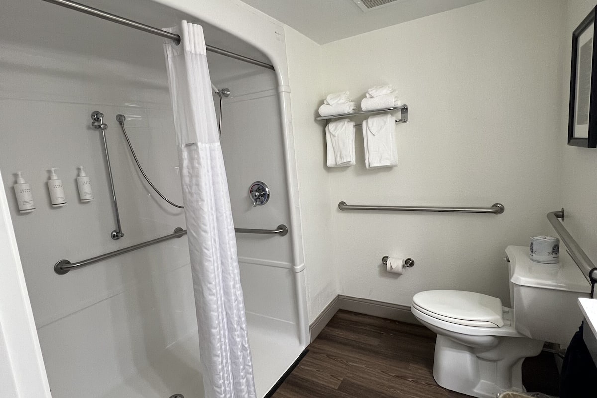 room, 1 king bed, accessible, non smoking (roll-in shower) | bathroom | combined shower/bathtub, free toiletries, hair dryer, towels
