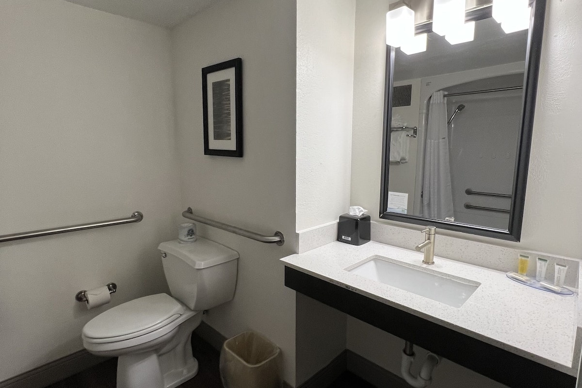 combined shower/bathtub, free toiletries, hair dryer, towels