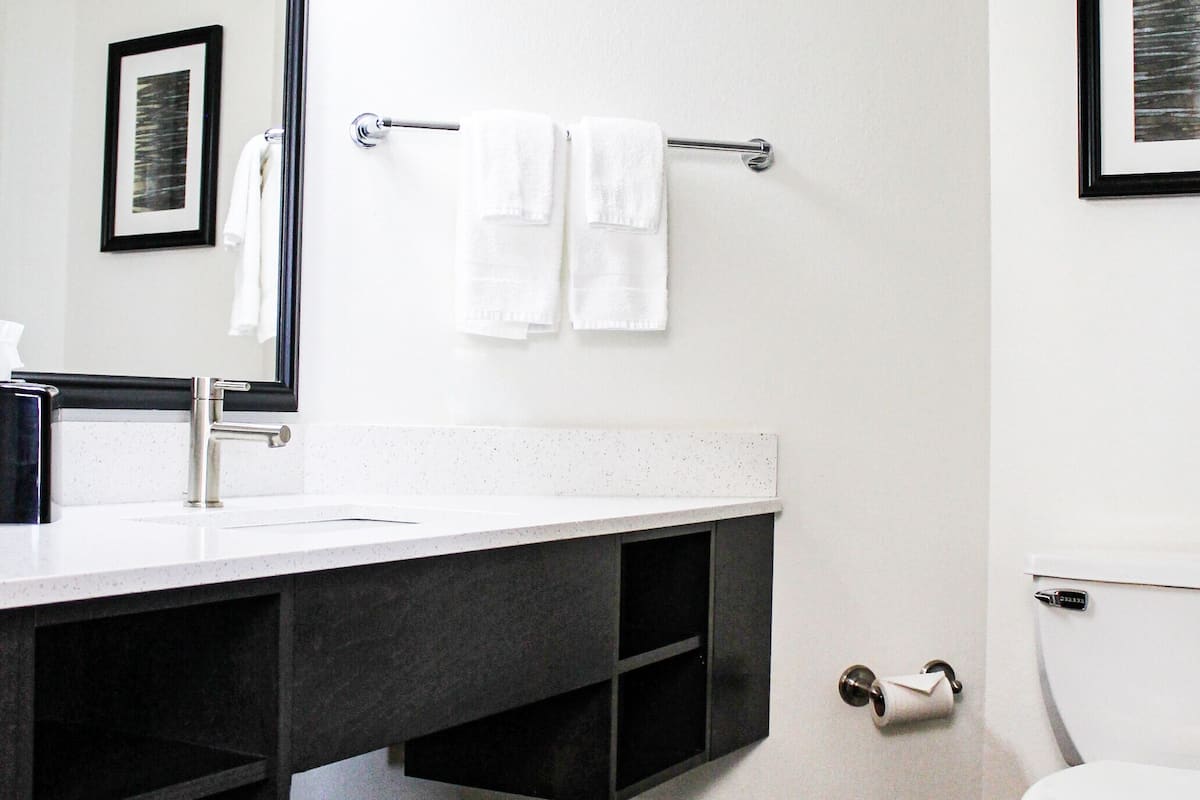 combined shower/bathtub, free toiletries, hair dryer, towels