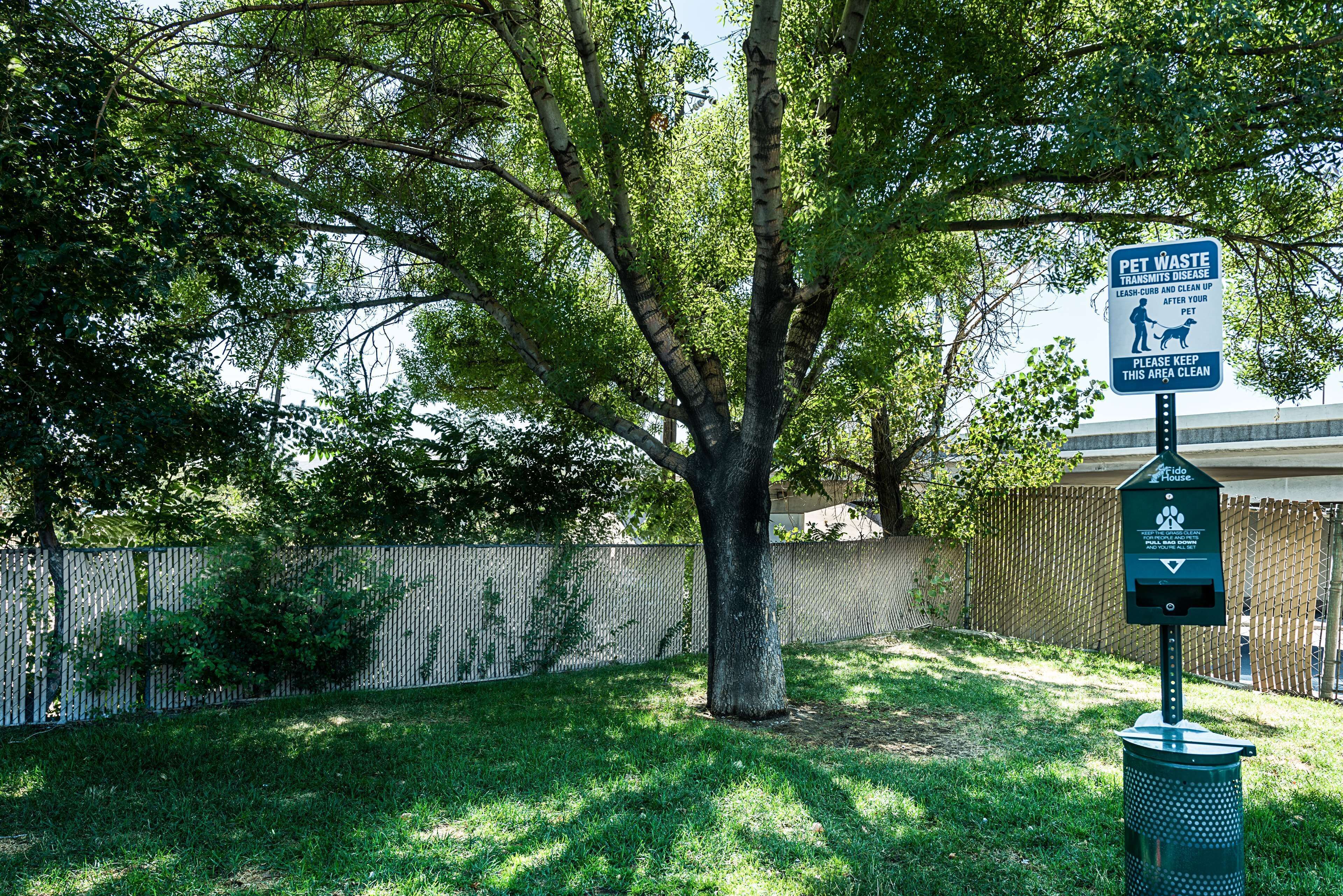 Lemmikkiystävällinen